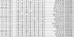 خطوات الاستعلام عن نتائج السادس الاعدادي 2024 الدور الأول بالعراق عبر موقع نجاح najah.iq